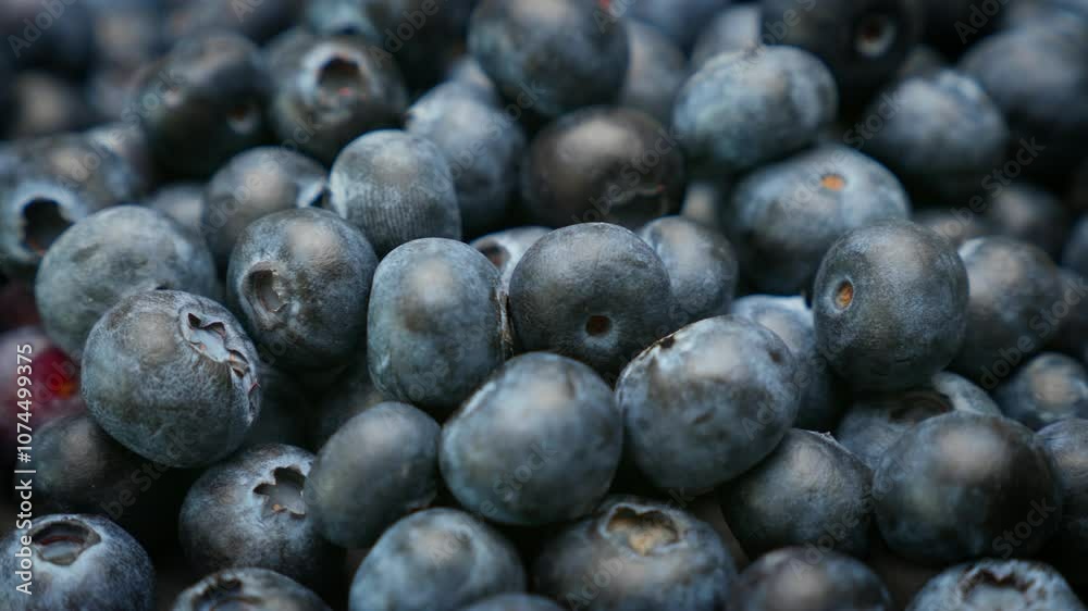 A closeup shot of a bunch of blueberries rotating A closeup shot of a bunch of blueberries rotating