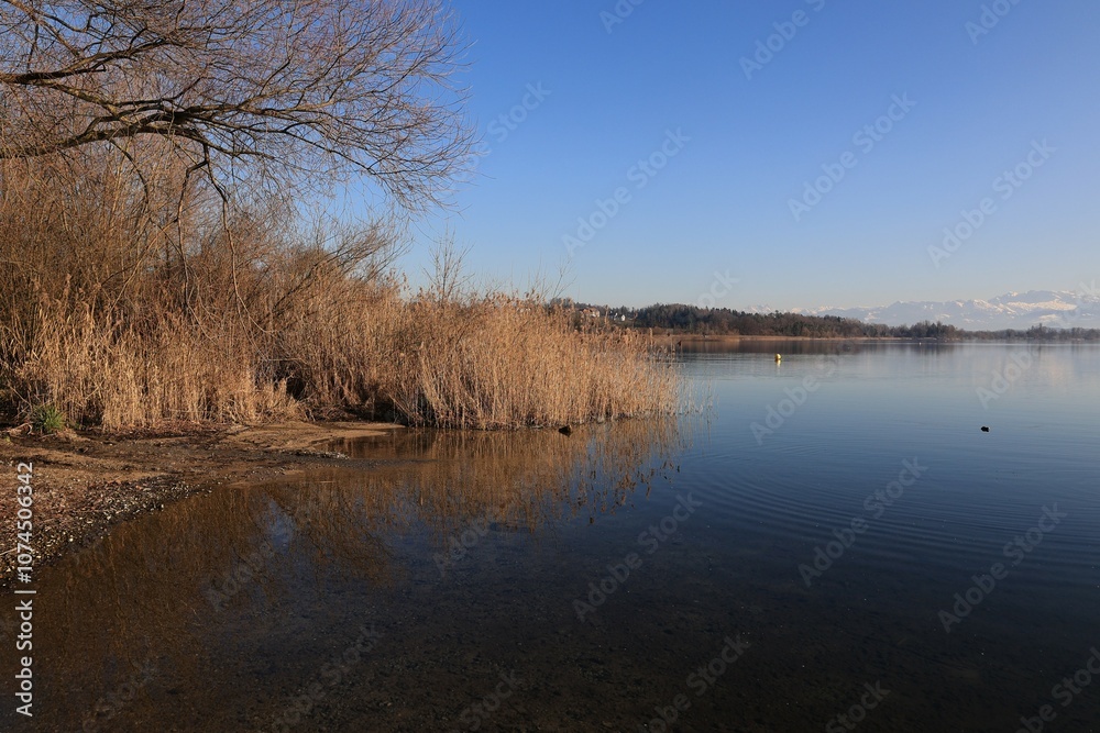 Blick auf den Greifensee im Schweizer Glatttal Blick auf den Greifensee im Schweizer Glatttal