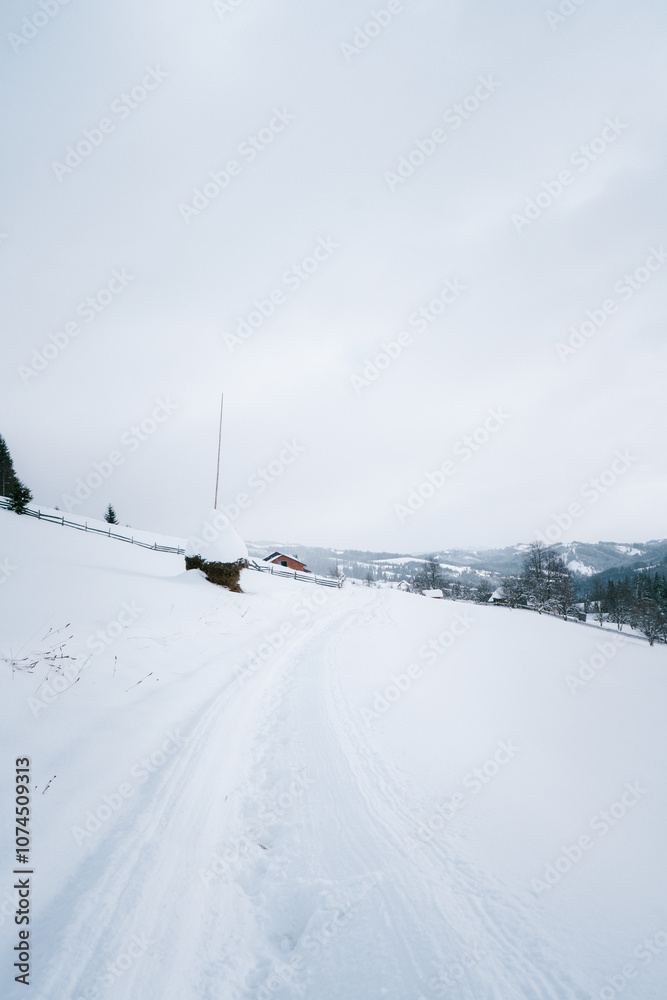Snow-Covered Path Leading to Rural Homes in a Winter Mountain Landscape Snow-Covered Path Leading to Rural Homes in a Winter Mountain Landscape