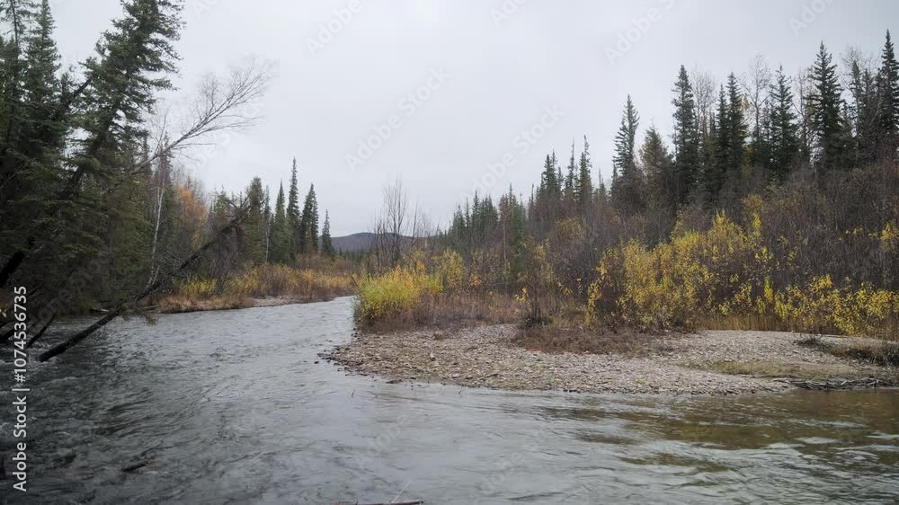 The Chena River near the Chena Hot Springs in Alaska in Autumn The Chena River near the Chena Hot Springs in Alaska in Autumn