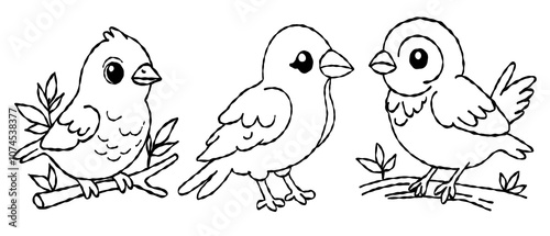 bird outline set  