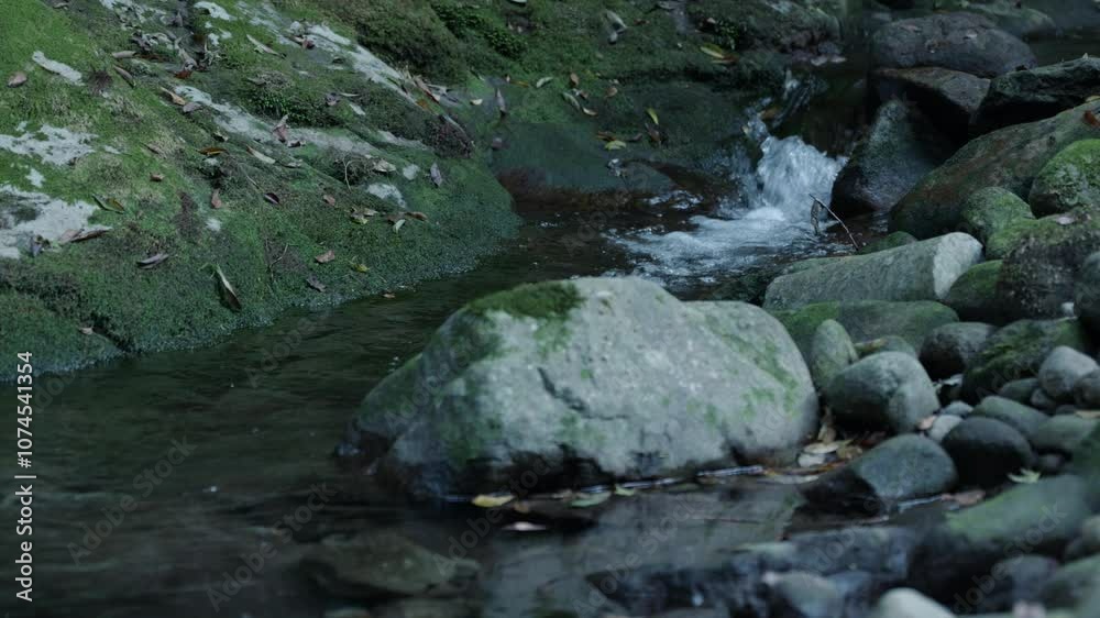 A slow-motion video capturing a small waterfall in a mountain stream A slow-motion video capturing a small waterfall in a mountain stream