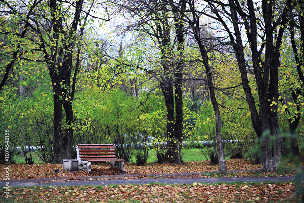 Beautiful autumn park. Russian North. Autumn trees and leaves. Autumn Landscape.Park in Autumn. Forest in Autumn. Beautiful autumn park. Russian North. Autumn trees and leaves. Autumn Landscape.Park in Autumn. Forest in Autumn.