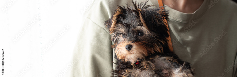 Naklejka premium 愛犬を抱きしめる飼い主