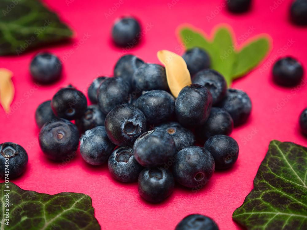 Blueberries with leaves on a red background plain Blueberries with leaves on a red background plain