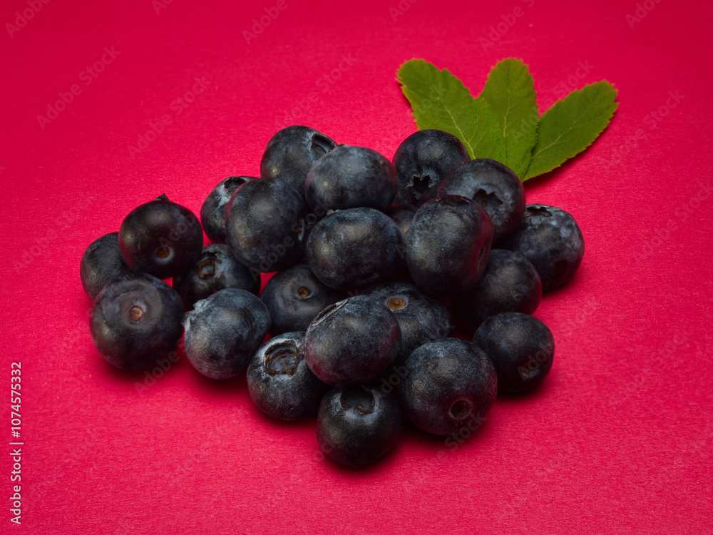 Blueberries with leaves on a red background plain