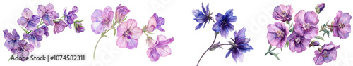 Elegant Larkspur Violet Flowers in Closeup Delicate Floral Botanical Art with Vibrant Purple Petals and Soft Focus Background