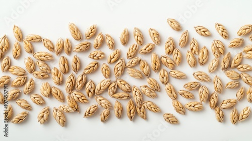 A visually stunning presentation of unhusked wheat grains is featured on a smooth white background. photo