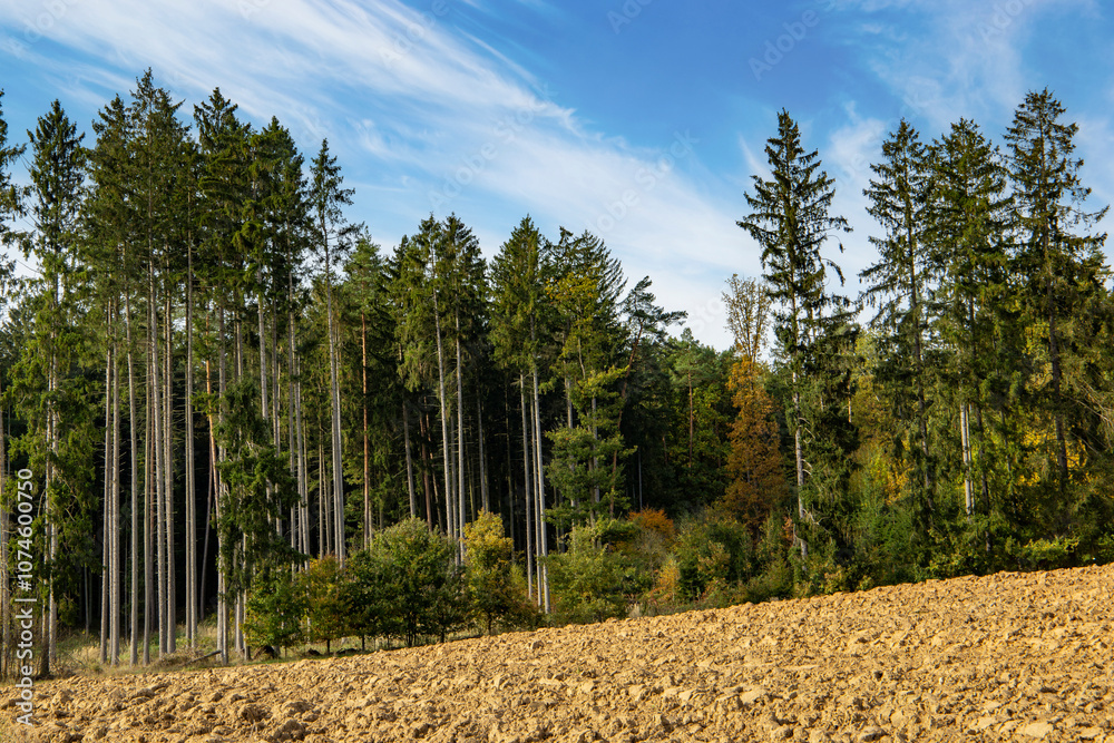 An autumn landscape with fields and forests in Central Europe.