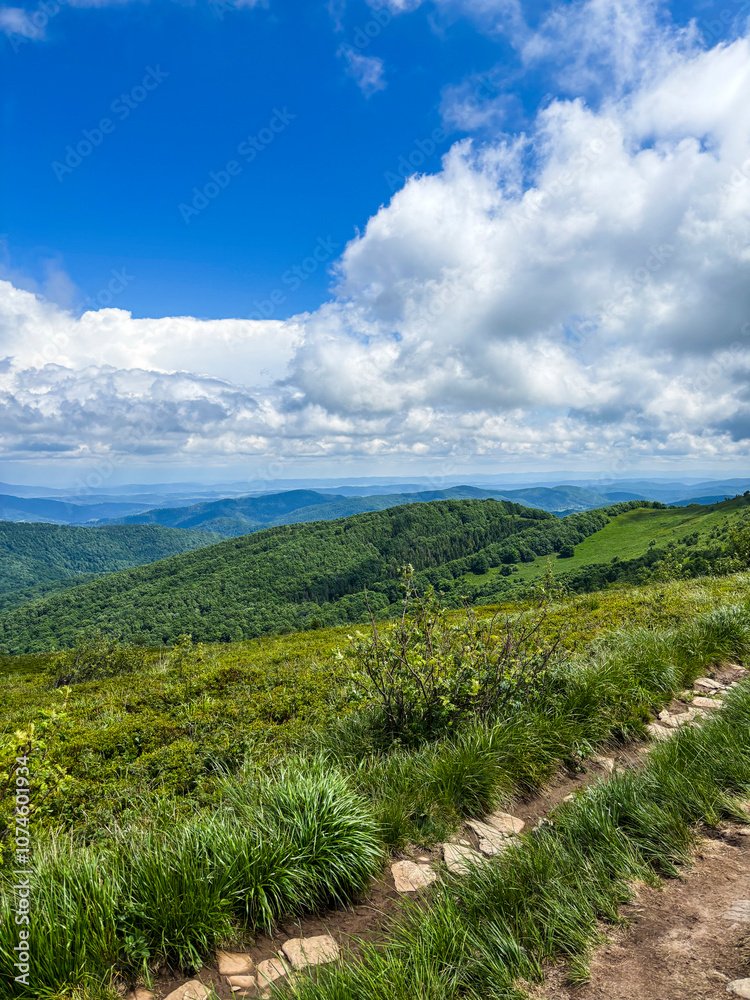Fototapeta premium Beautiful landscape of summer mountains