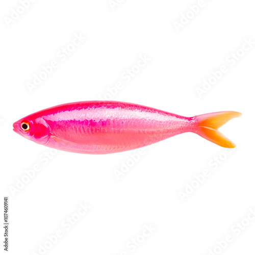 Bright Pink Fish Swimming in a Vibrant Underwater Environment, Showcasing Glimmering Scales and Graceful Movements, Ideal for Nature and Marine Life Imagery
