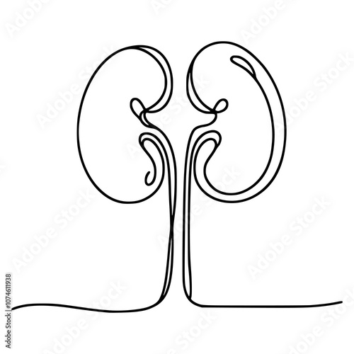 one line drawing healthy kidney internal organvector illustration template design