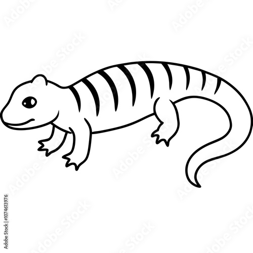 Tiger Salamander Line Art.