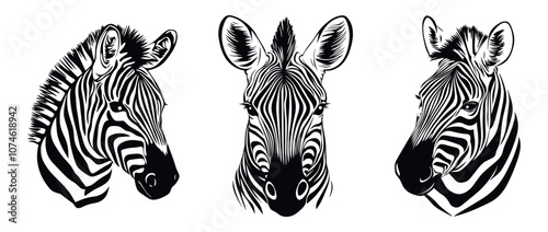 Zebra head face portrait set. Front and side view. Wild herbivore savannah african striped ungulate mammal. Zoo print. Black and white simple linocut tatoo silhouette style. Isolated vector on white