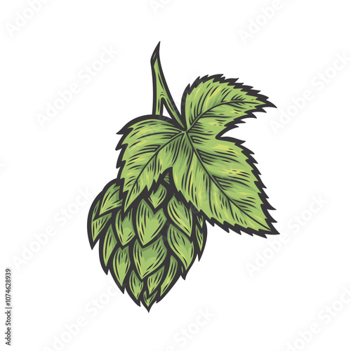 Hops in the style of line drawing