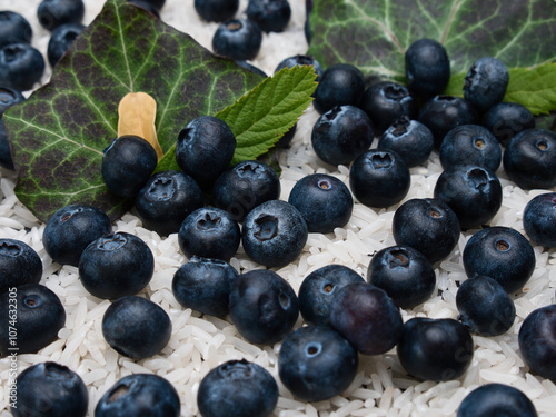 Blueberries Lying on Rice Grains with Green Leaves in the Background