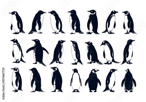 Arctic penguins black ink sketch vector set. Waterfowl emperor adelie gentoo breeds marine ocean bird swimmers sea hunters, isolated illustrations on white background