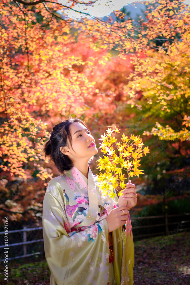 beautiful young asian woman wearing kimono tradination in the park at autumn leaves season beautiful young asian woman wearing kimono tradination in the park at autumn leaves season