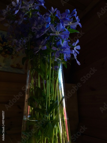 flowers in a glass