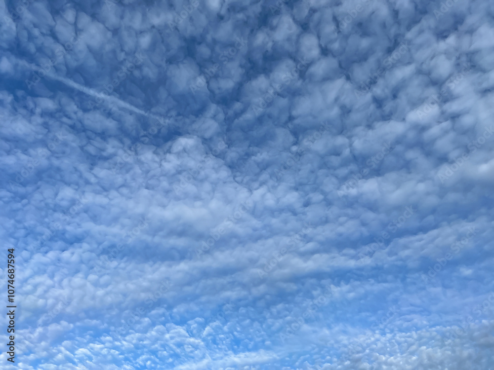 An interesting-looking cloud in the blue sky as a background. Altocumulus or cirrocumulus An interesting-looking cloud in the blue sky as a background. Altocumulus or cirrocumulus