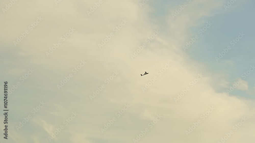 A model of an airplane controlled by a remote control flies in the sky. A model of an airplane controlled by a remote control flies in the sky.