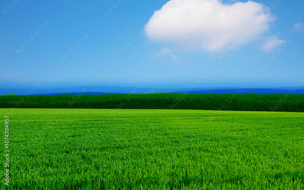 FELD HORIZONT #281041.9 FELD HORIZONT #281041.9