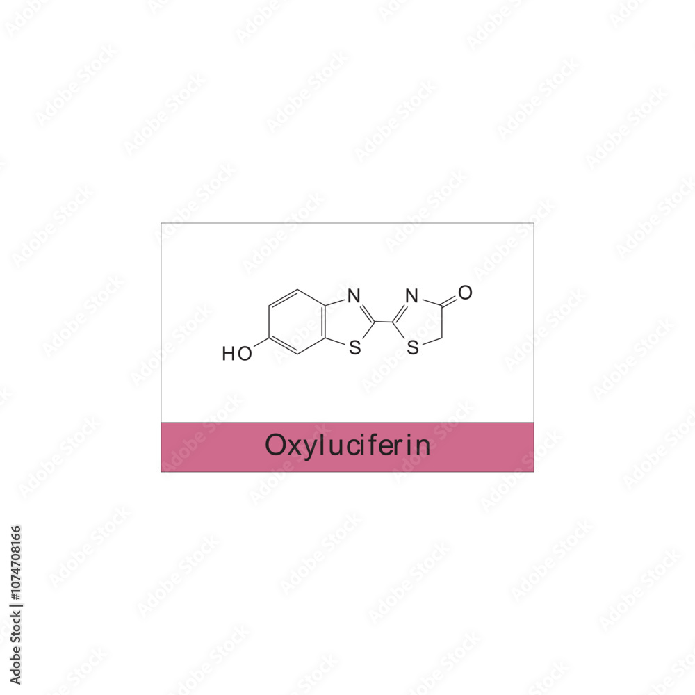 Oxyluciferin skeletal structure diagram.Organic molecule compound molecule scientific illustration. Oxyluciferin skeletal structure diagram.Organic molecule compound molecule scientific illustration.