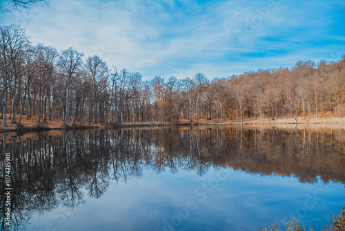 Winter forest and lake. River flows in autumn forest. Lake in forest. Nature landscape print set, wall art