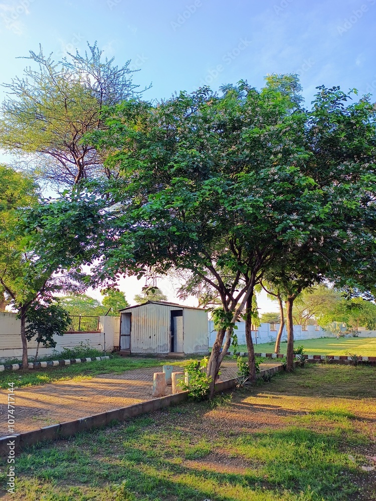 old house in the park old house in the park