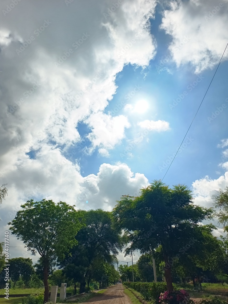 Obraz premium clouds over the forest