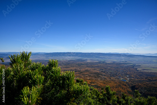 Scenic overlook of a vast valley with colorful autumn foliage, evergreen trees, and a clear blue sky