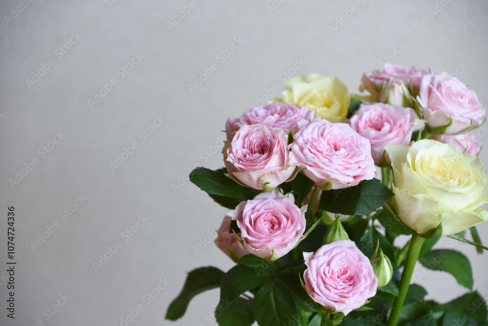 薔薇の花束