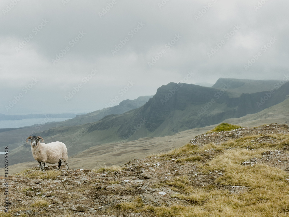 Fototapeta premium The Trotternish Ridge from near the Quiraing, Isle of Skye, Scotland