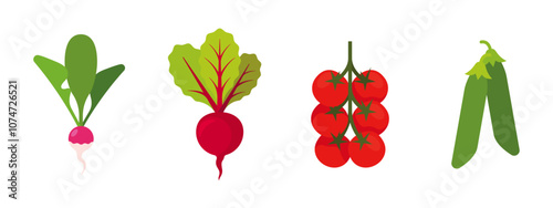 Vegetables set with Radish, Beet, Cherry Tomatoes, Pea; isolated flat illustrations in transparent background