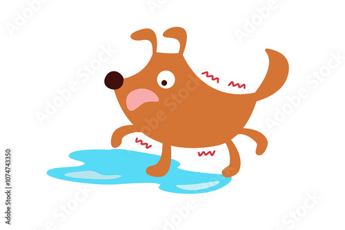dog  bark salivation hydrophobia. rabies symptom