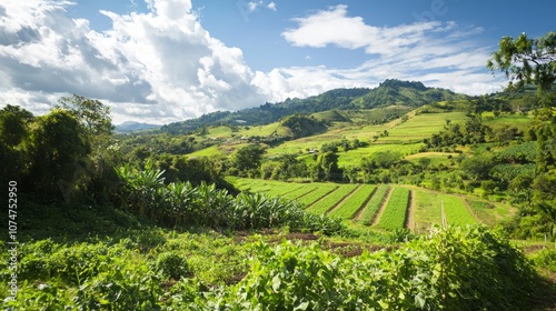 Tranquil Organic Farm Landscape embodying Sustainable Agriculture and Community Growth