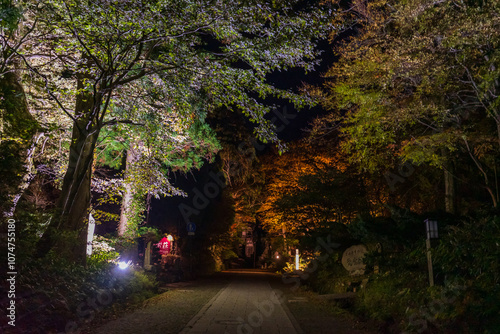 日本の鳥取県の大山の美しい秋の夜の風景 photo