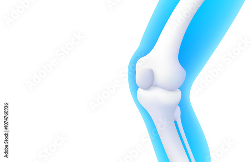 Knee joint, X-ray of the leg, 3D visualization. Vector illustration