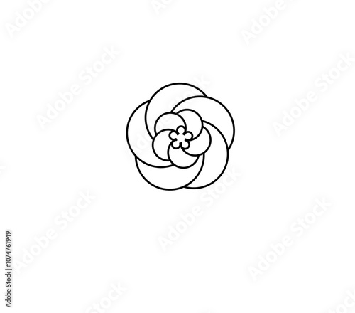 pink rose flower