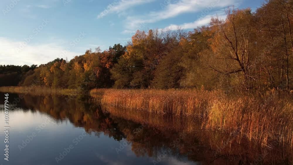 Linia brzegowa jeziora w jesiennych barwach. Jesień w pełni, przebarwione drzewa.