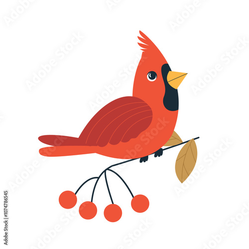 Red cardinal bird flat vector illustration isolated on white background. Cartoon northern cardinal bird sitting on tree branch with red berries. Bird Watching and feeding minimal design, winter birds