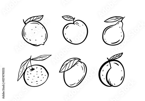 Hand-drawn Fruit Illustrations That Are Perfect for All Your Creative Projects and Needs