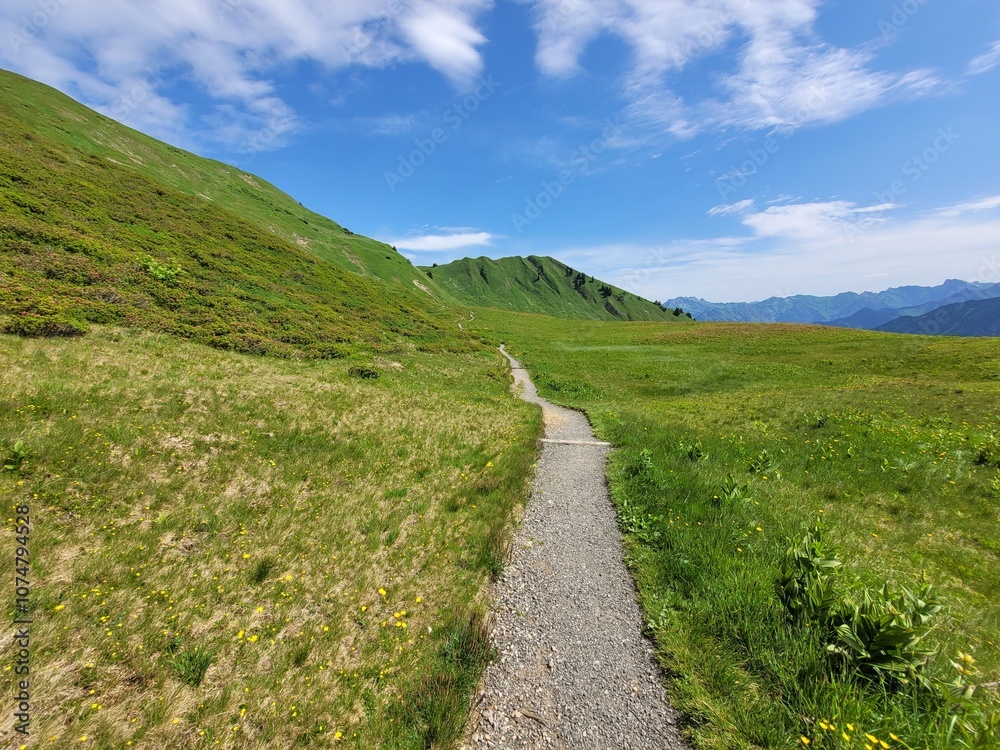 Wanderweg unterhalb des Fellhorn in den Allgäuer Alpen bei Oberstdorf 