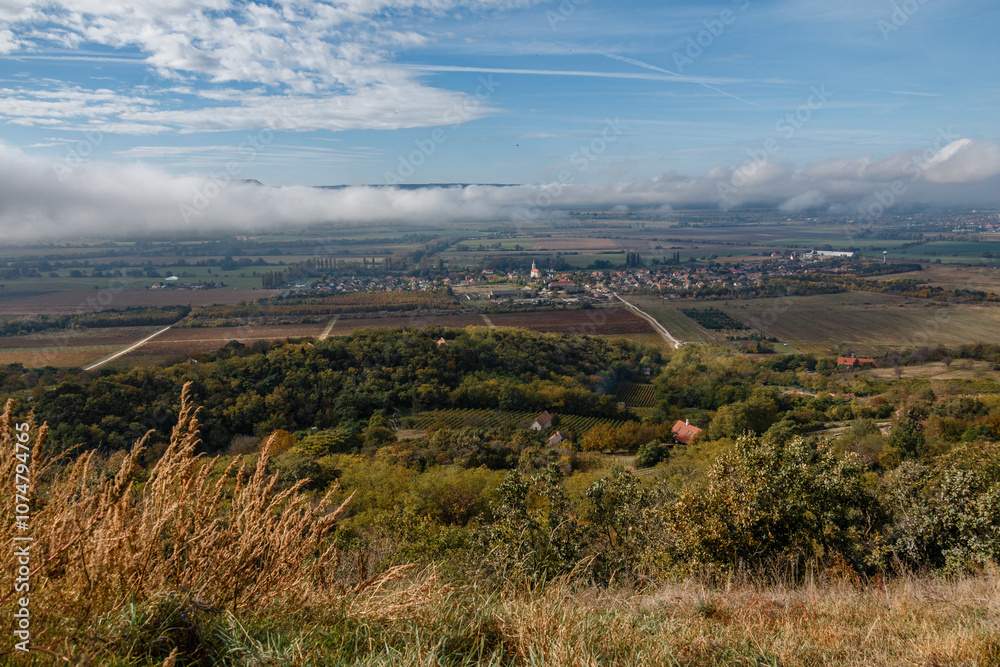 Naklejka premium panoramic view of rural village with fields and forest 