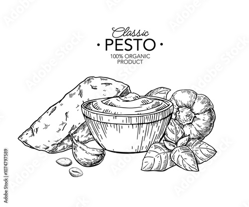 Pesto sauce ingredients vector drawing. Traditional italian pasta and salad dressing. Food sketch hand drawn sketch