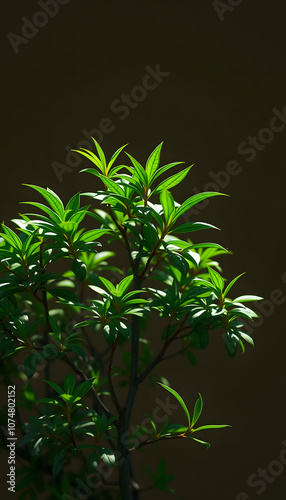 Thinking Green isolated with white highlights, png