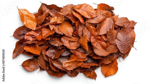 A vibrant collection of fallen brown autumn leaves on a white background.