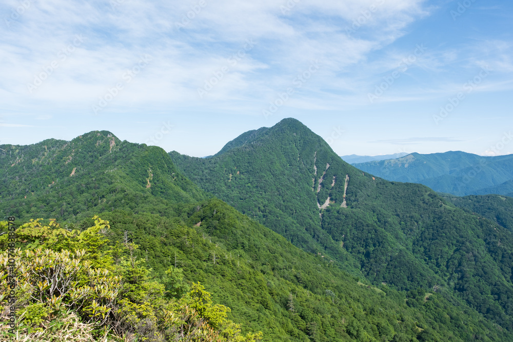 Obraz premium 日本の自然