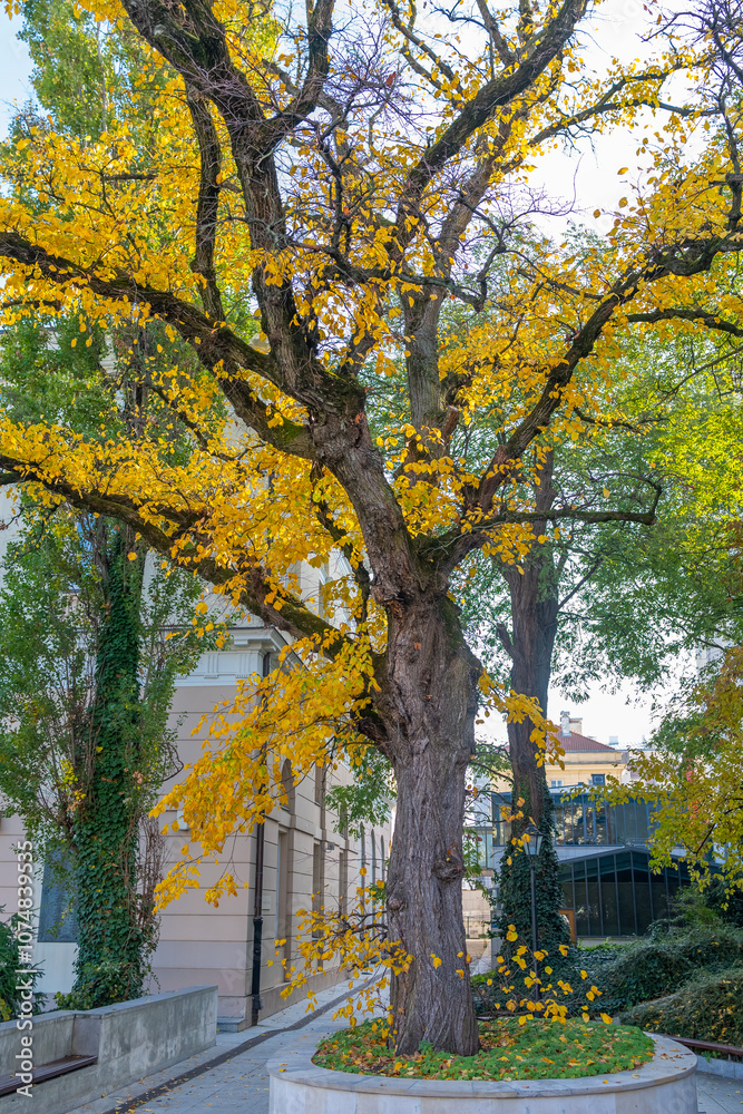 Naklejka premium Poland capital warsaw new world street parliament building and old town and royal castle images