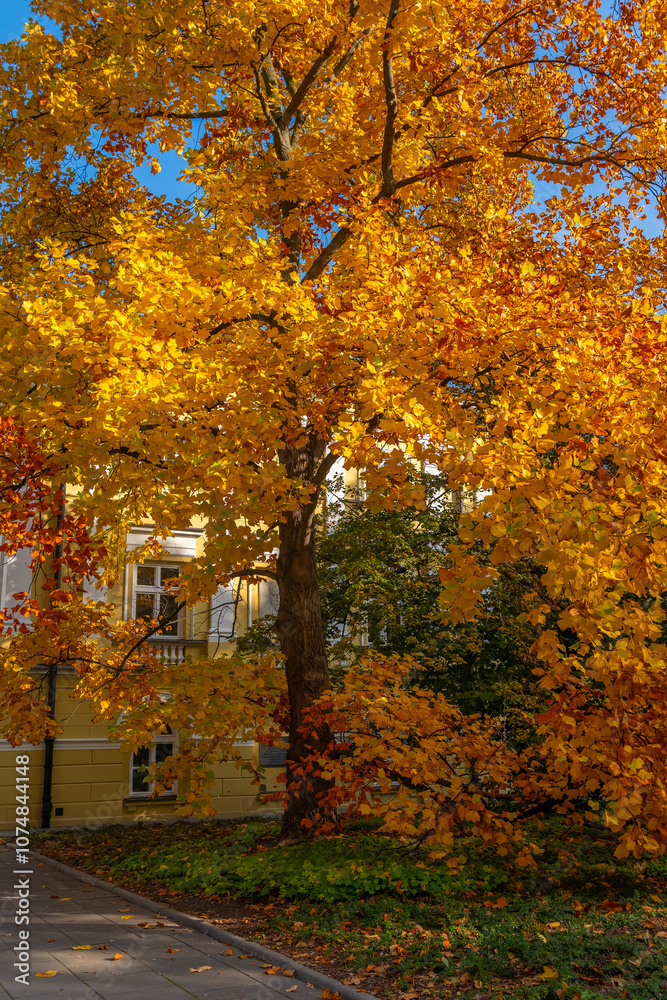 Poland capital warsaw new world street parliament building and old town and royal castle images